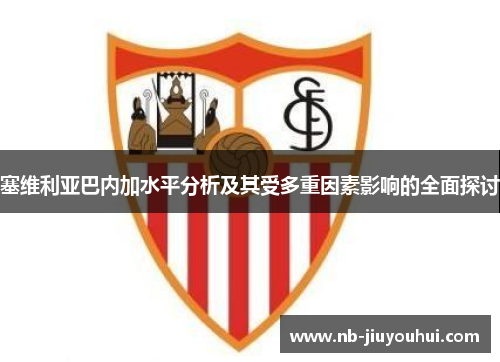 塞维利亚巴内加水平分析及其受多重因素影响的全面探讨 塞维利亚巴内加水平分析及其受多重因素影响的全面探讨