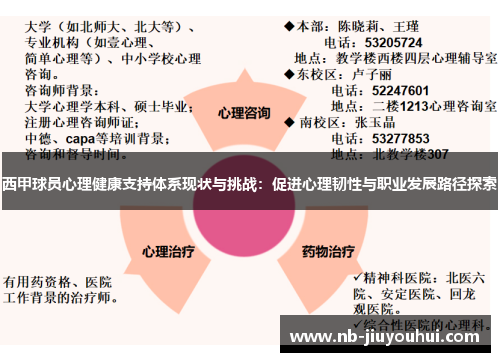 西甲球员心理健康支持体系现状与挑战:促进心理韧性与职业发展路径探索 西甲球员心理健康支持体系现状与挑战:促进心理韧性与职业发展路径探索