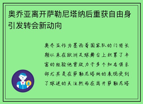 奥乔亚离开萨勒尼塔纳后重获自由身引发转会新动向 奥乔亚离开萨勒尼塔纳后重获自由身引发转会新动向